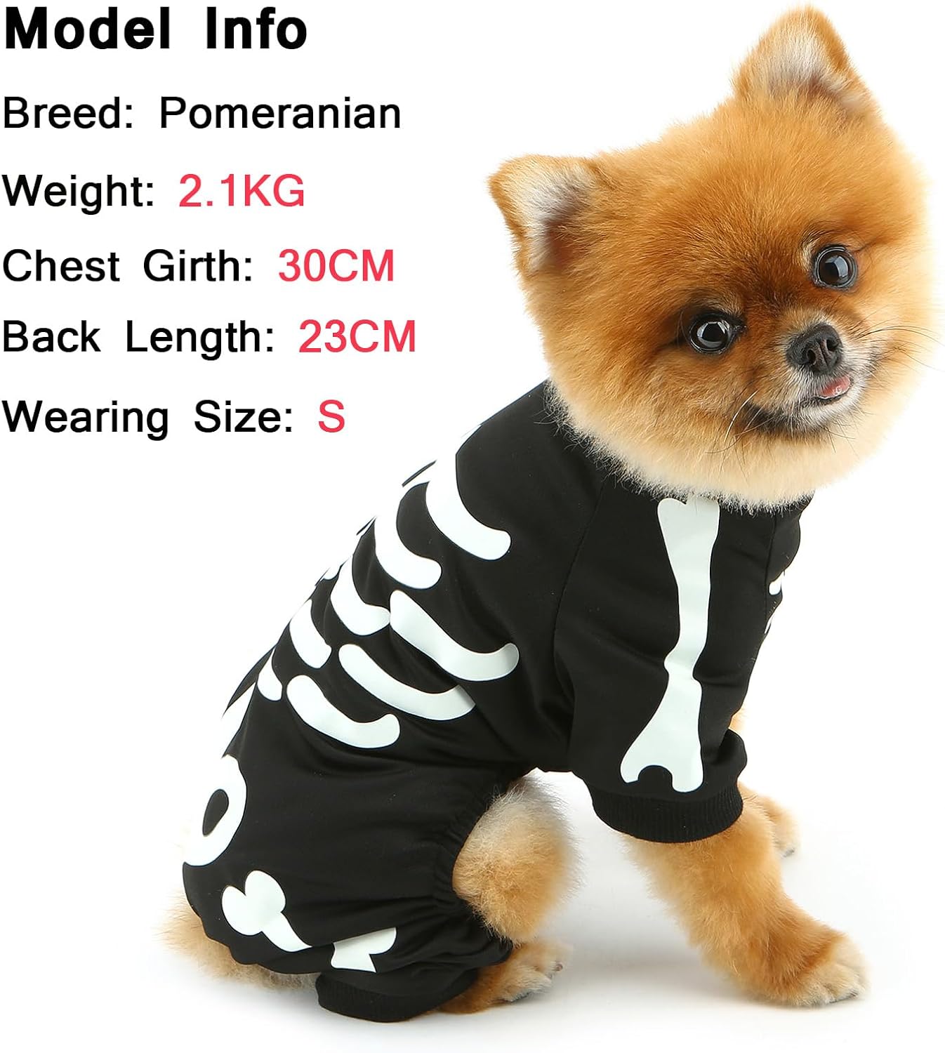 Dog Costume Skeleton Glow in the Dark Halloween Jumpsuit