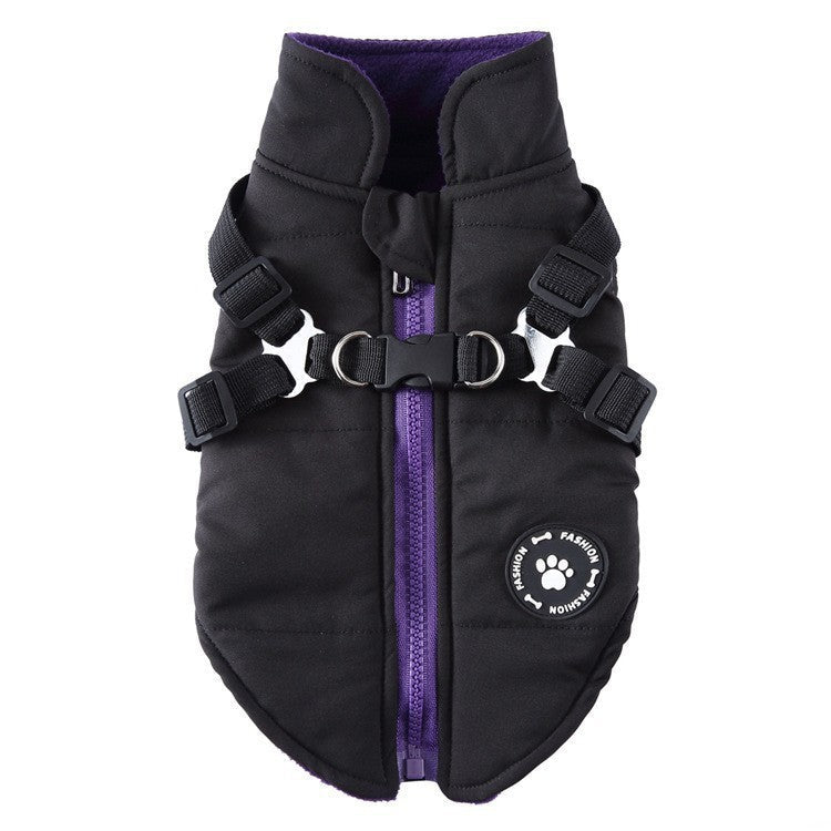 Pet Product - Premium Pet Accessory