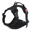 Explosion-Proof Pet Leash With Reflective Harness - Majestic Pet Kingdom