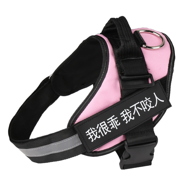 Dog Harness and Leash Set Breathable Mesh Step-In Walking Vest - Detail Angle 4 | Majestic Pet Kingdom