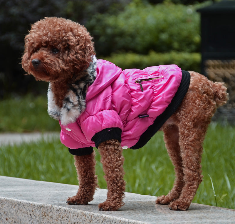 Zippered Cotton Padded Clothes For Pets - Majestic Pet Kingdom