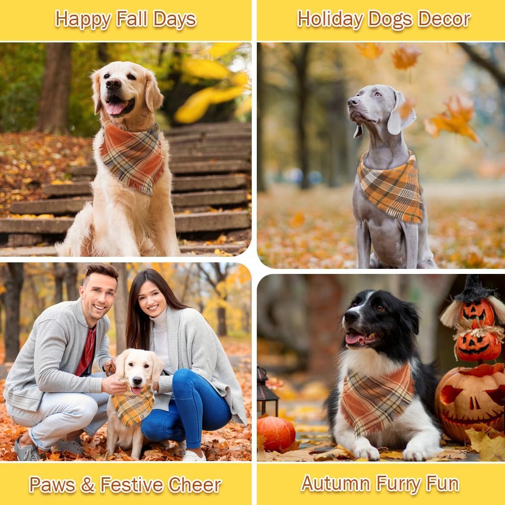Luxury Pet Essentials - Purrfect Pet Kingdom™