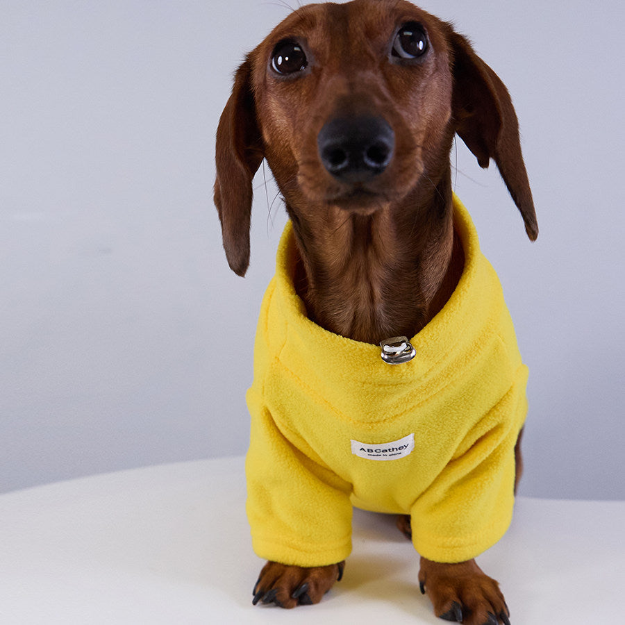 Pet Product - Premium Pet Accessory