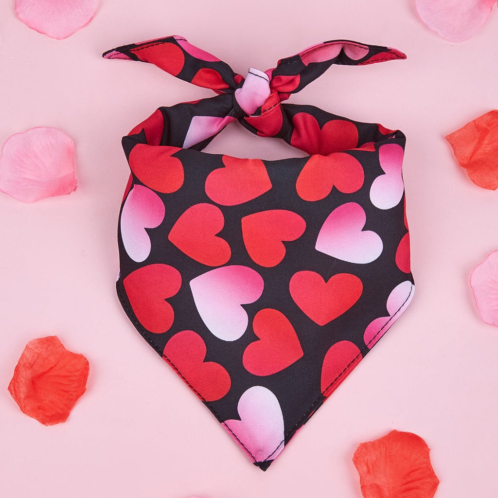 Printed Pet Dog Bandana Scarf & Saliva Towel