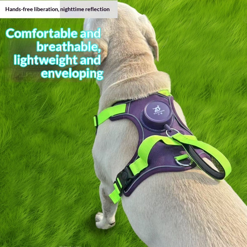 Automatic Retractable Leash And Harness - Majestic Pet Kingdom
