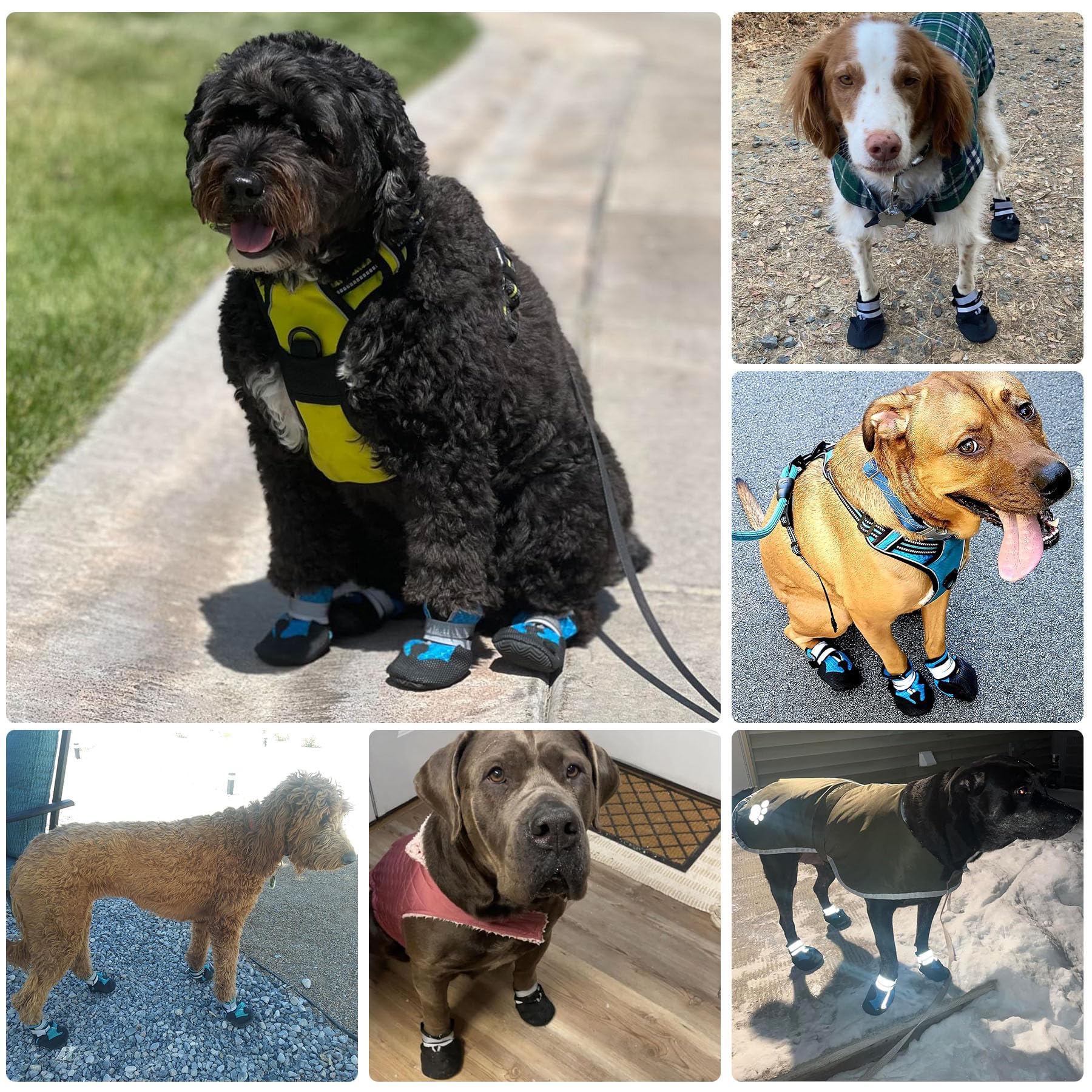 DiWater-Resistant Dog Boots For Medium Large Dogs,Non-Slip Dog Shoes For Winter Snow,Lightweight Paw Protector For Cold Pavement,Soft Dog Booties For Outdoor Walking Indoor Hardfloors - Majestic Pet Kingdom