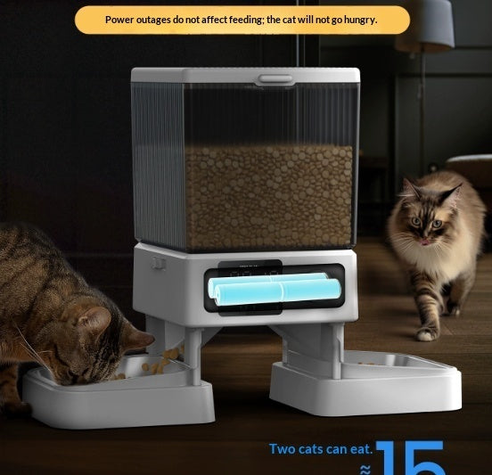 Automatic Cat Feeder With Dual Bowls Visual Timer-Controlled Portion-Adjustable Smart Pet Feeder For Cat Food - Majestic Pet Kingdom