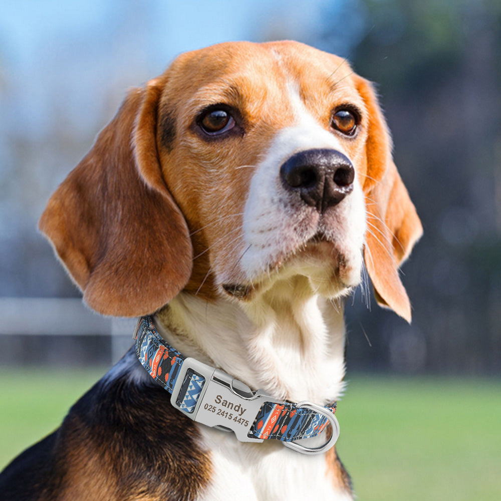 Adjustable Nylon Dog Collar Personalized Dogs Cat ID Ergonomic Walking | Majestic Pet Kingdom™