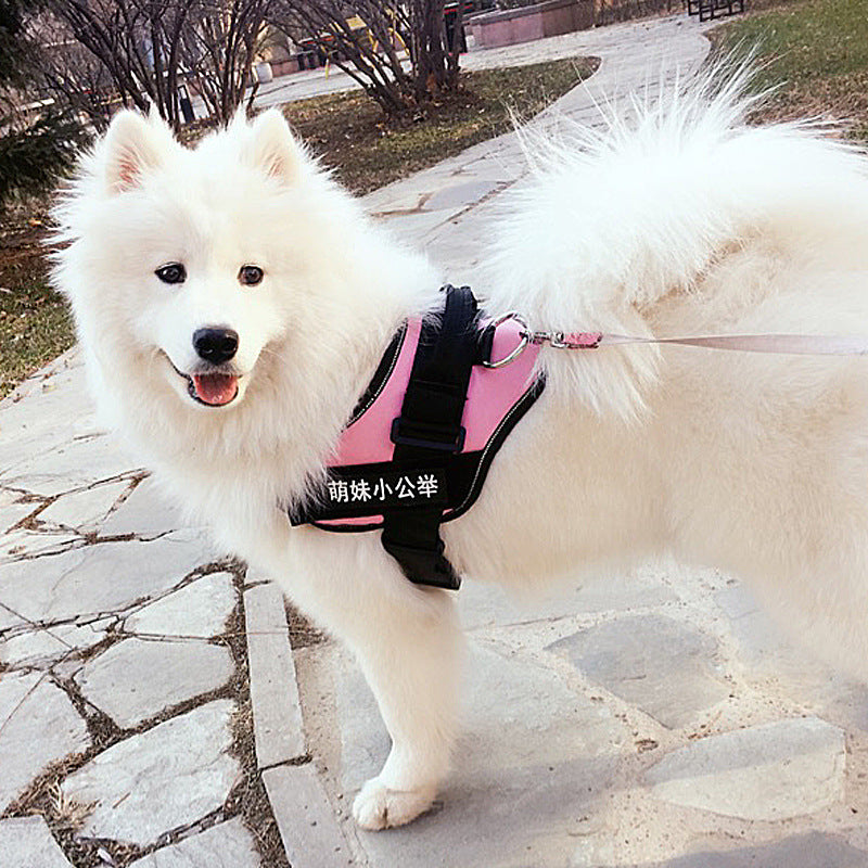 Dog Harness and Leash Set Breathable Mesh Step-In Walking Vest - Detail Angle 3 | Majestic Pet Kingdom