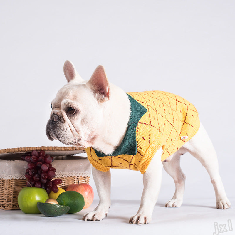 Dog Clothes - Majestic Pet Kingdom