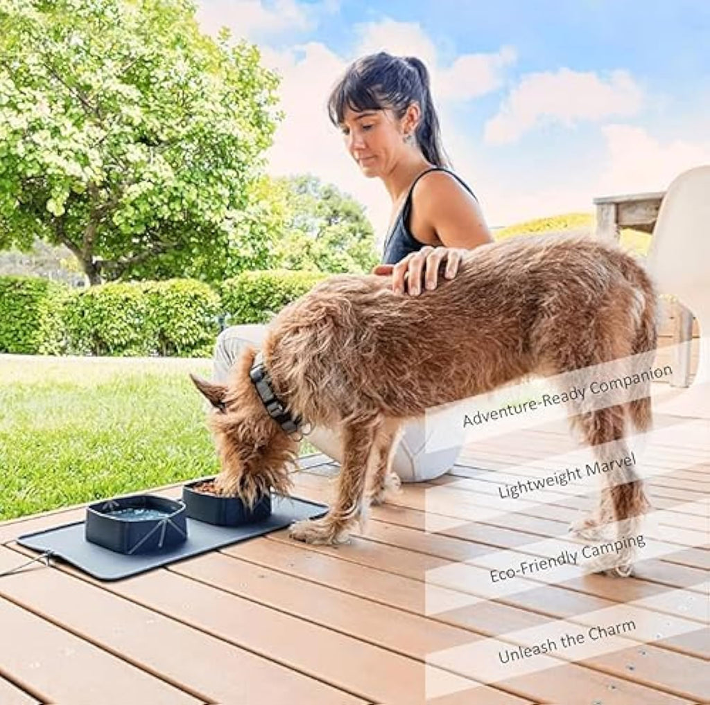 Generic Portable Pet Feeder Silicone Bowls For Dog And Cat Travel Collapsible Dish For Food And Water - Majestic Pet Kingdom