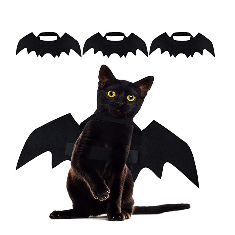 Luxury Pet Essentials - Purrfect Pet Kingdom™