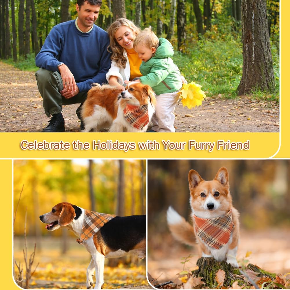 Luxury Pet Essentials - Purrfect Pet Kingdom™