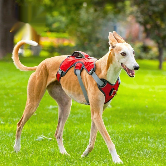 Large And Medium-sized Dog Outdoor Vest-style Harness - Majestic Pet Kingdom