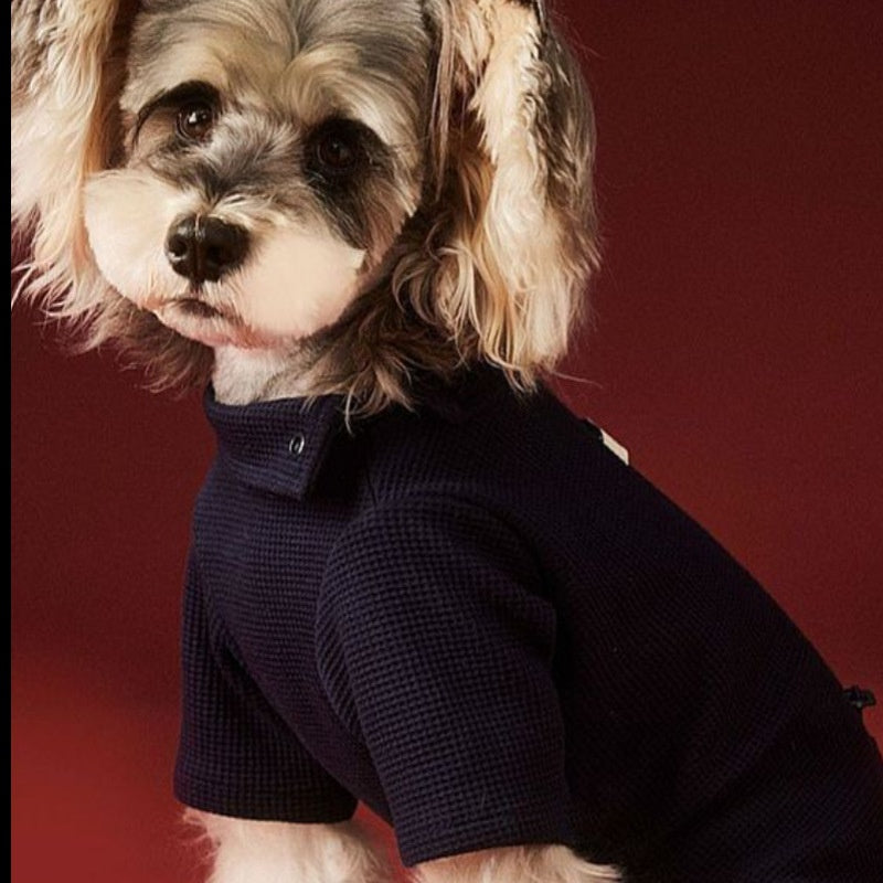Small Dog Pet Clothes AutumnWinter Four-Leg Base Layer - Majestic Pet Kingdom