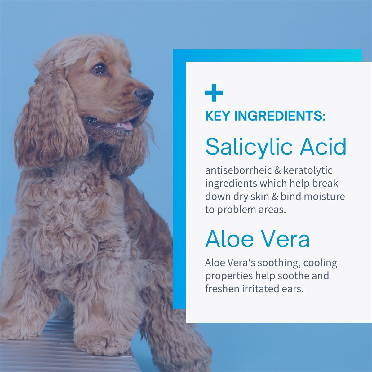Pet Ear Wipes Soothe and Clean Medicated Cleaning 100-Count