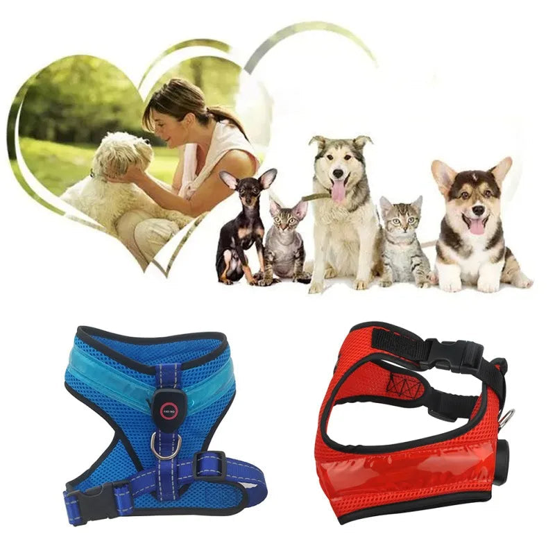 Dog Harness LED Light Up USB Rechargeable Glowing Night Vest - Detail Angle 2 | Majestic Pet Kingdom