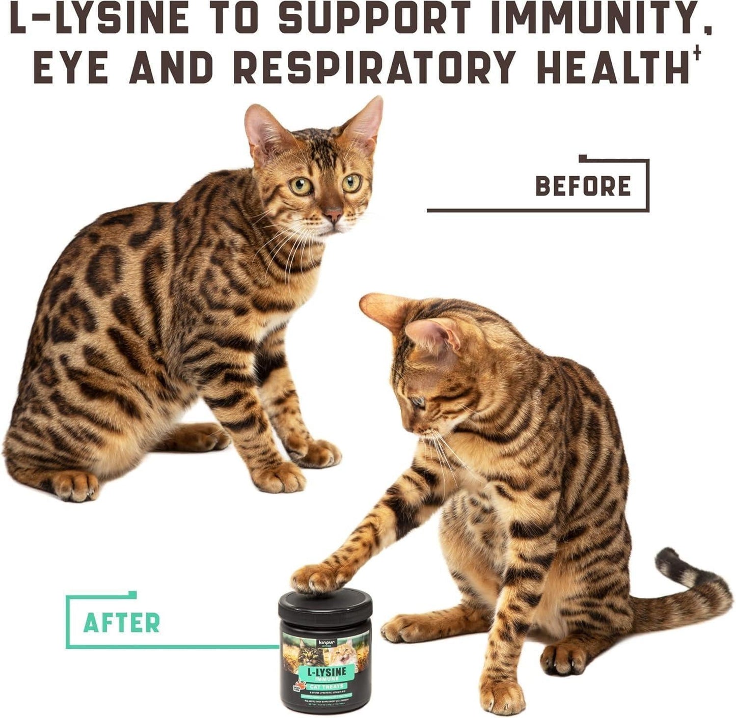 Lysine Cat Treats - Immune, Respiratory & Eye Health