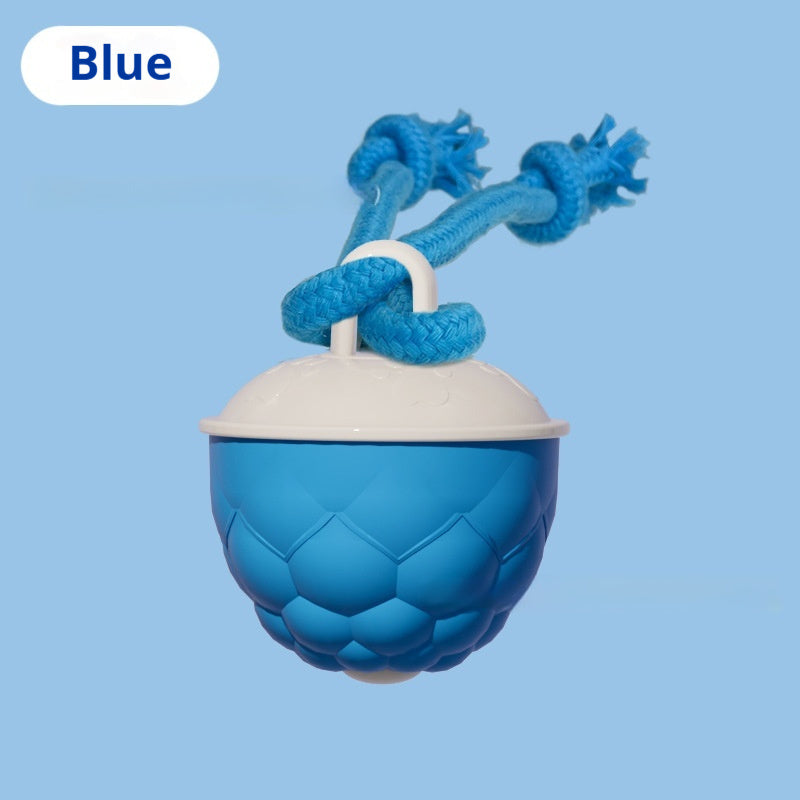 Smart Bite-Resistant Dog Toy Ball With Teeth-Grinding And Sound-Producing Features | Purrfect Pet Kingdom