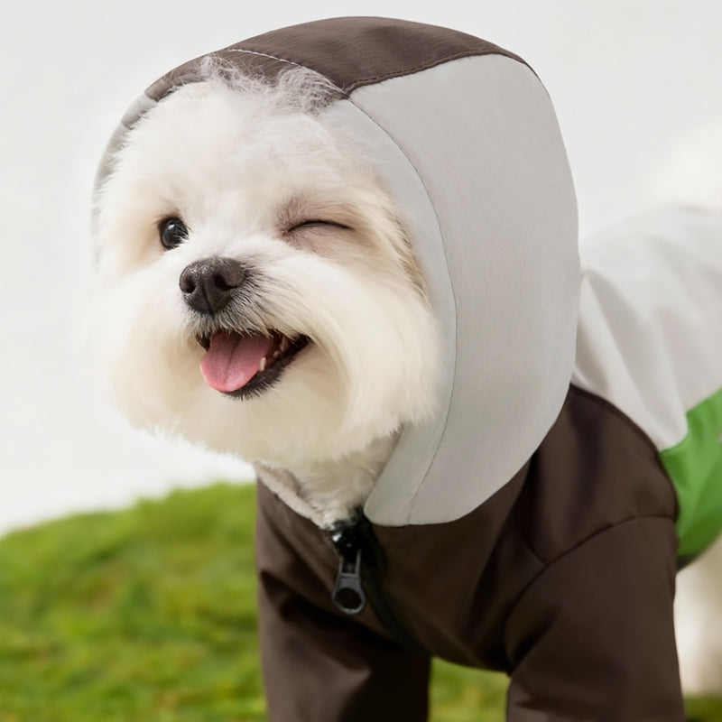 Pet Product - Premium Pet Accessory