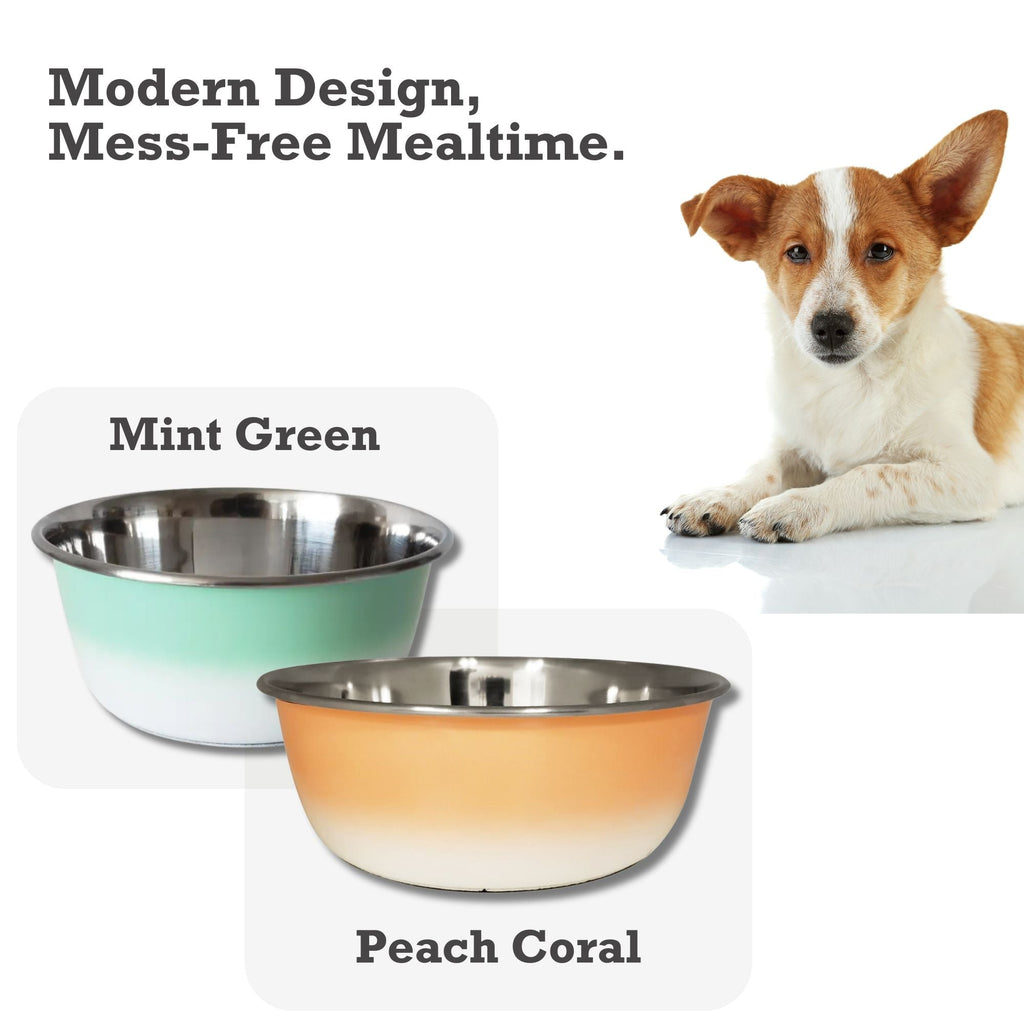 Stainless Steel Deep Dog Bowl Dish in Mint Green Finish - Majestic Pet Kingdom
