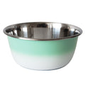 Stainless Steel Deep Dog Bowl Dish in Mint Green Finish - Majestic Pet Kingdom