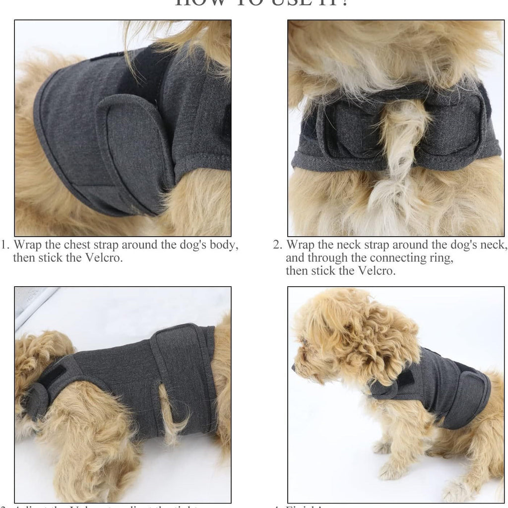 Luxury Pet Essentials - Purrfect Pet Kingdom™