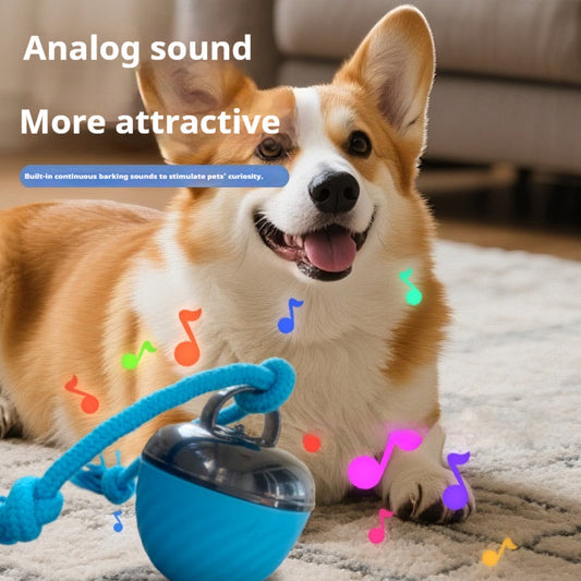 Smart, Chew-resistant Dog Toy Ball To Keep Your Pup Entertained And Help Soothe Teething Discomfort | Purrfect Pet Kingdom