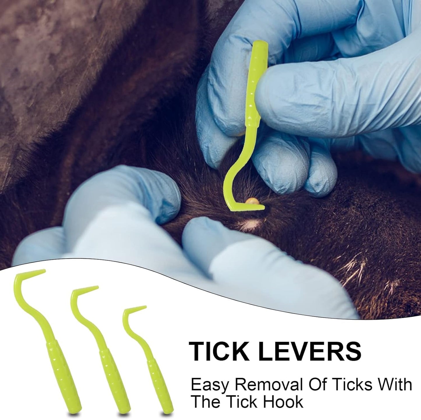 Pet Tick Removal Kit 8-in-1 Tweezers Flea Comb Storage Box - Detail Angle 4 | Majestic Pet Kingdom