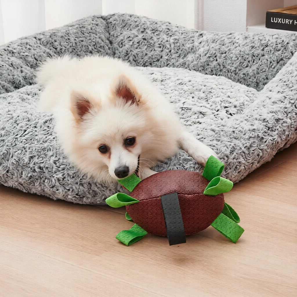 Interactive Chase Ribbon Pulling Rugby Dog Toy