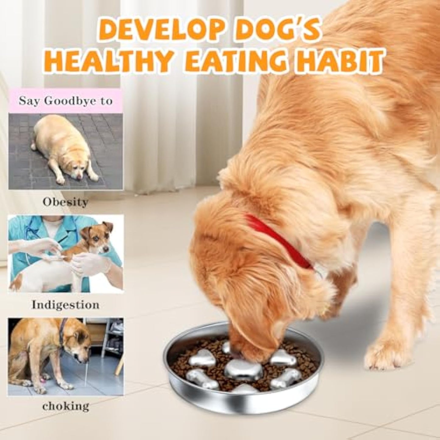 Slow Feeder Dog Bowls  Non-Slip Metal Dog Food Bowls With Heart And Bones Design For Small Medium Large Dogs | Purrfect Pet Kingdom