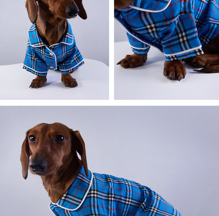 Pet Product - Premium Pet Accessory