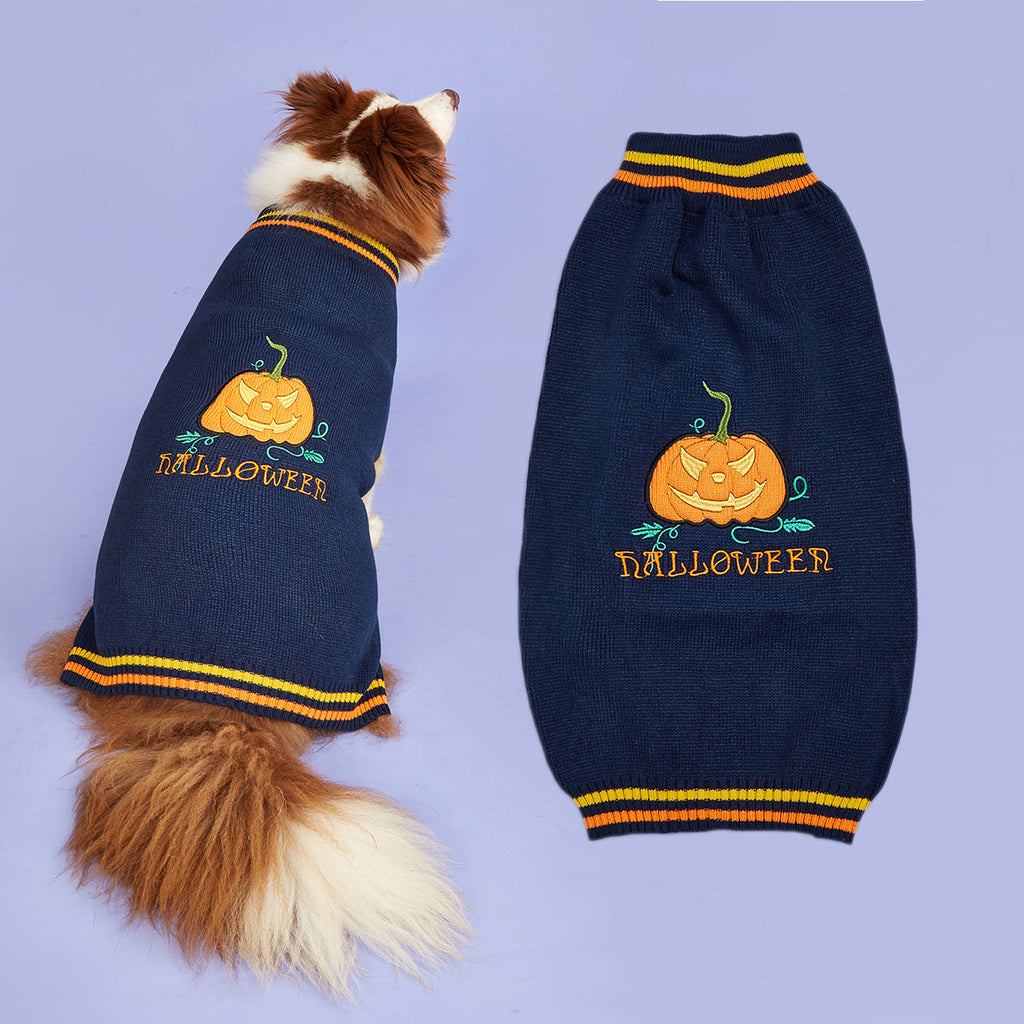 New Halloween Pumpkin Pet Sweater In Blue - Majestic Pet Kingdom