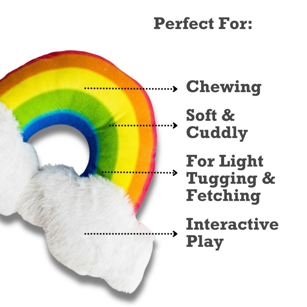 Magical Rainbow Plush Squeaky Dog Toy with Crinkle Paper