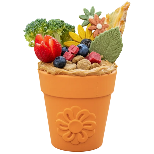 Large Flower Pot eCup Dog Treat Dispenser | Durable Best