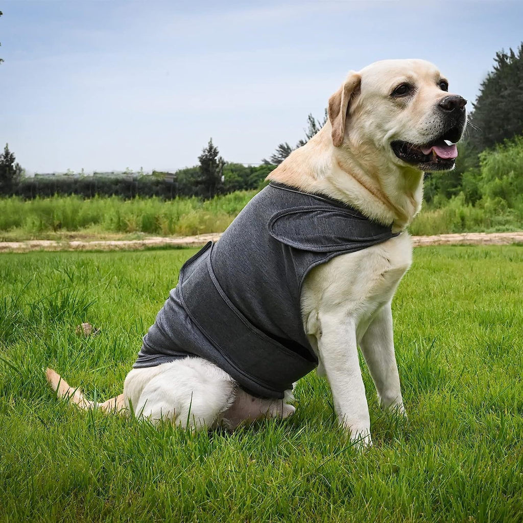 Luxury Pet Essentials - Purrfect Pet Kingdom™