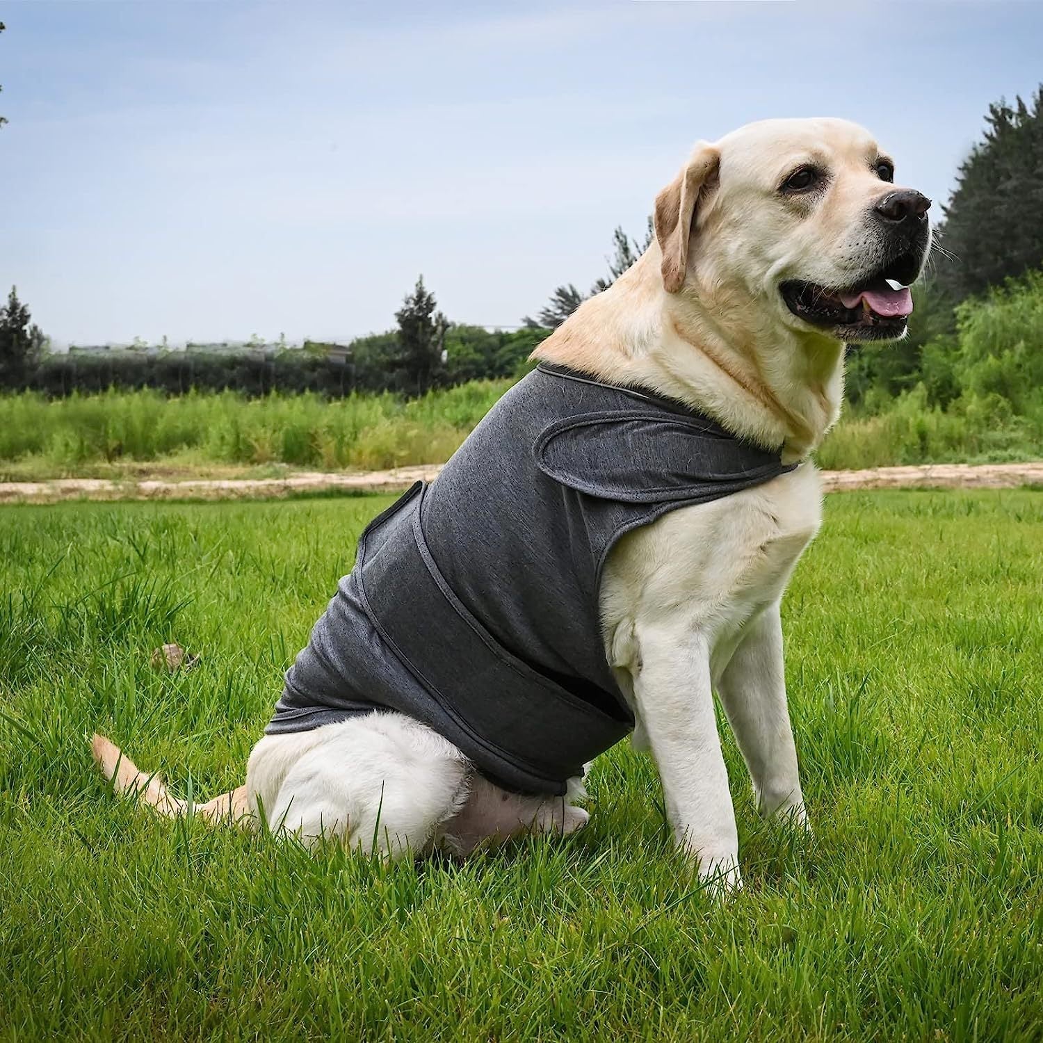 Luxury Pet Essentials - Purrfect Pet Kingdom™