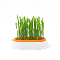 Lazy Soil-free Hydroponic Planting Wheat Seed Cultivation Cat Grass Basin