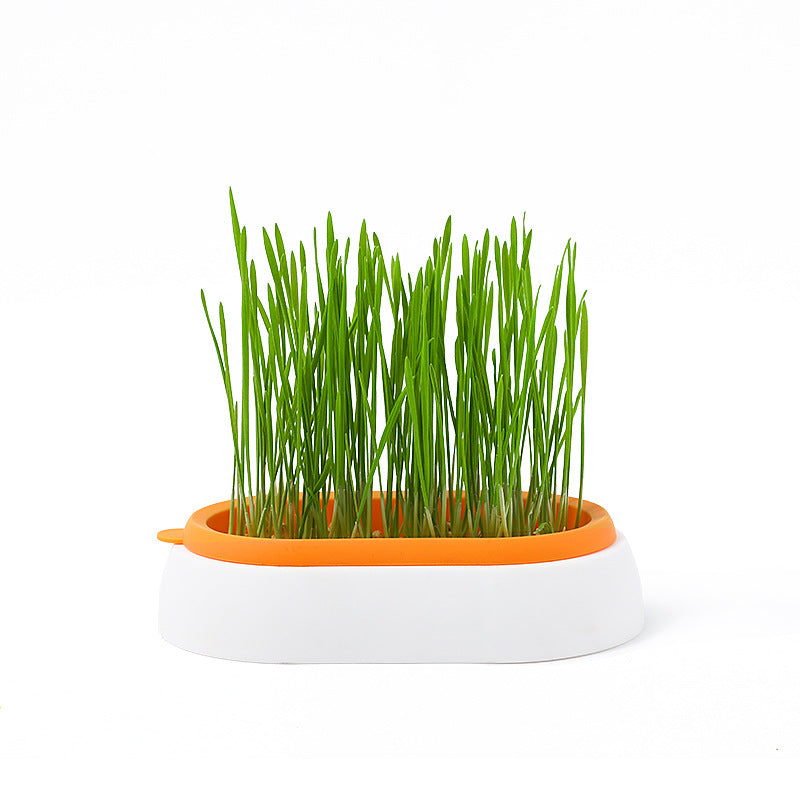 Lazy Soil-free Hydroponic Planting Wheat Seed Cultivation Cat Grass Basin