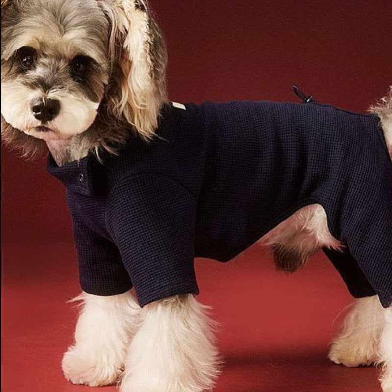 Small Dog Pet Clothes AutumnWinter Four-Leg Base Layer - Majestic Pet Kingdom