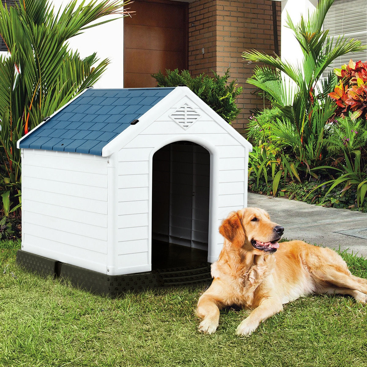 Pet Supply Product | The Finest Market