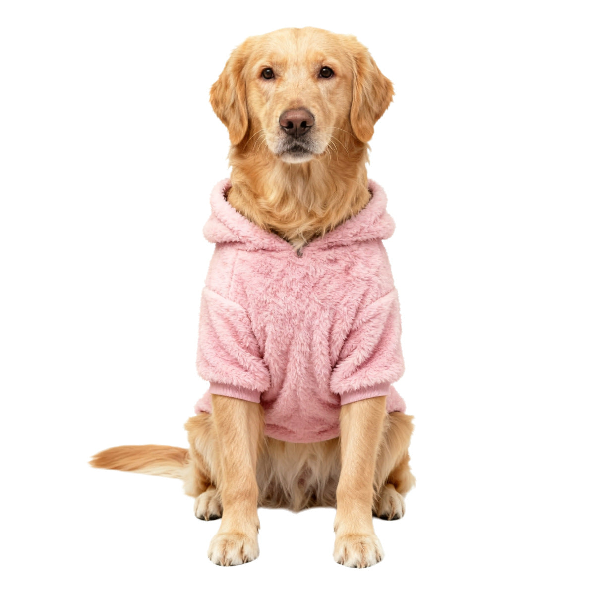 Pet Product - Premium Pet Accessory