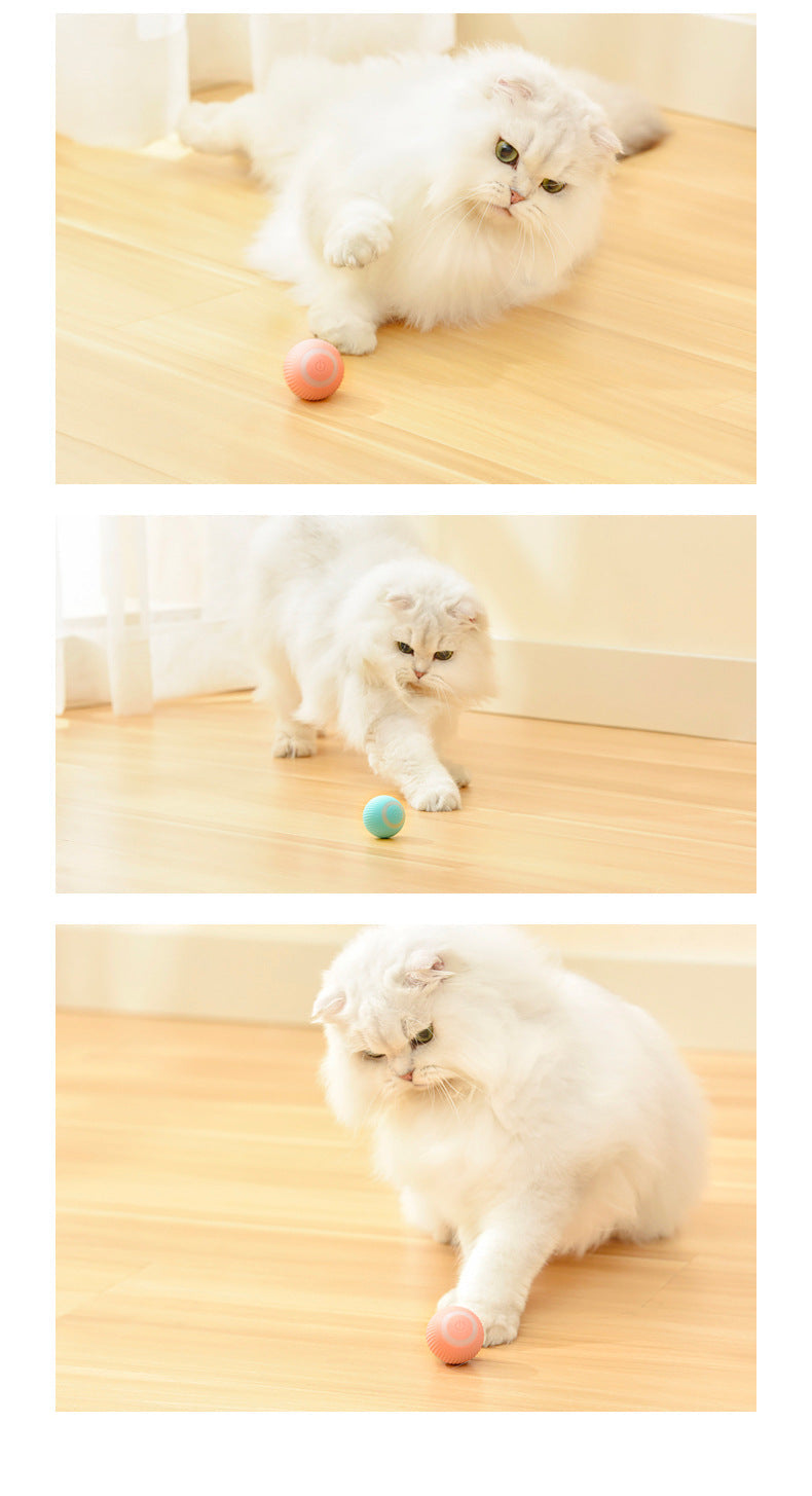Cat Toy Toy Classic - Durable Boredom Enrichment