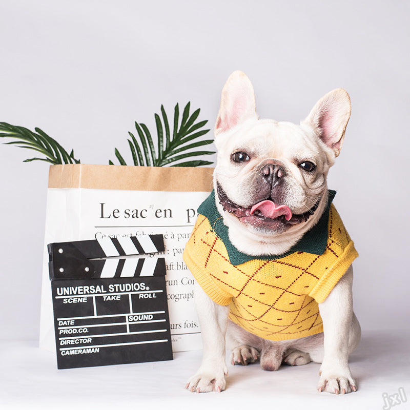 Dog Clothes - Majestic Pet Kingdom