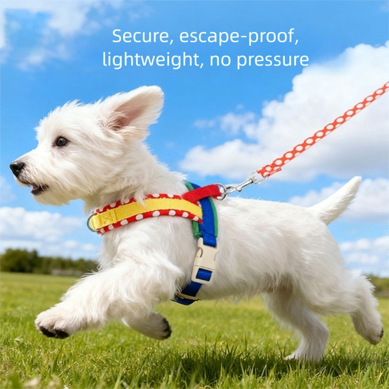 Dog Harness Leash Set No-Pull Walking Chest Strap | Purrfect Pet Kingdom