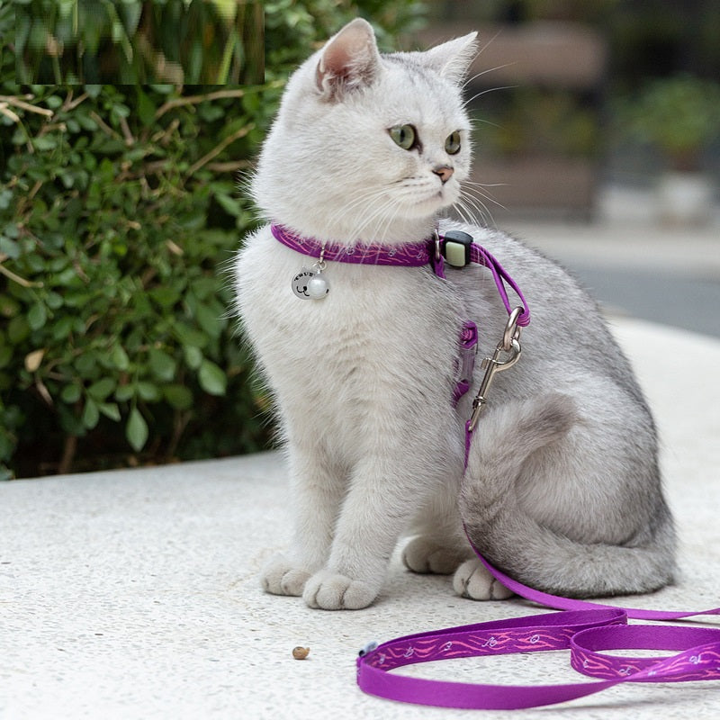 Luxury Pet Essentials - Purrfect Pet Kingdom™