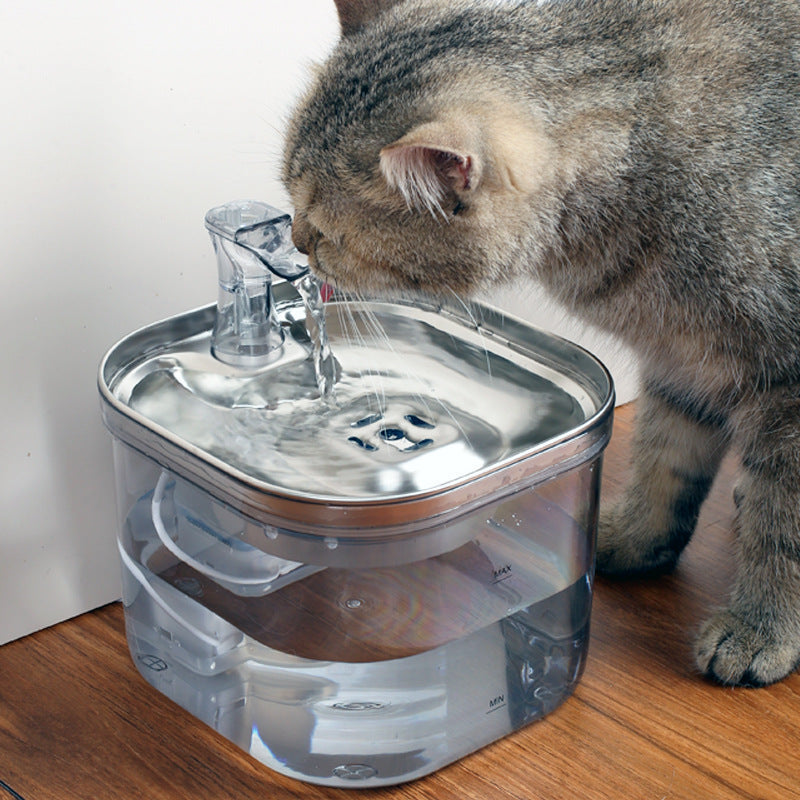 Pet Product - Premium Pet Accessory