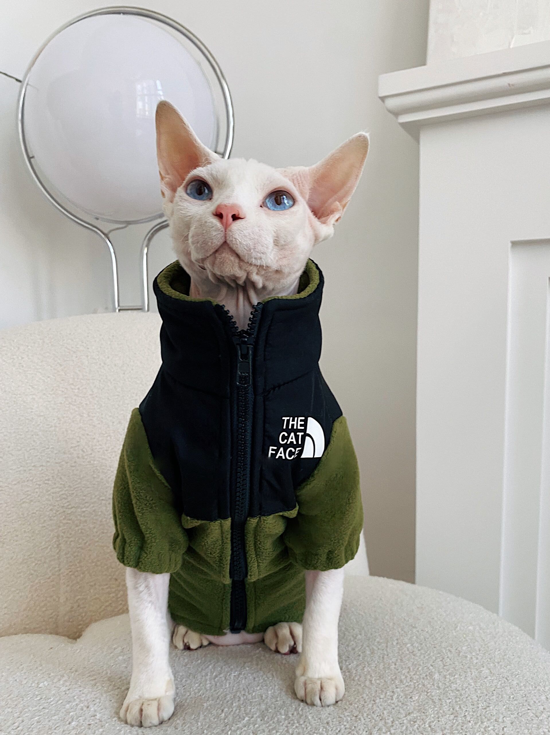 Hairless Cat Clothes Warm Pet Cat Clothes - Majestic Pet Kingdom