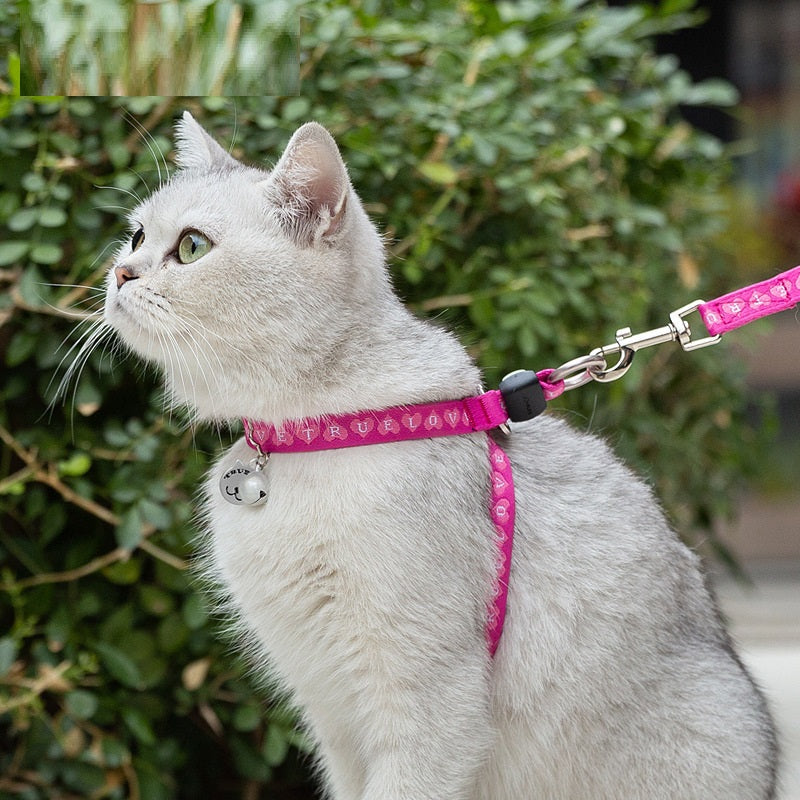 Luxury Pet Essentials - Purrfect Pet Kingdom™