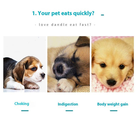Dog Bowl Slow Feeder Non-Slip Anti-Choking Healthy Diet Dish